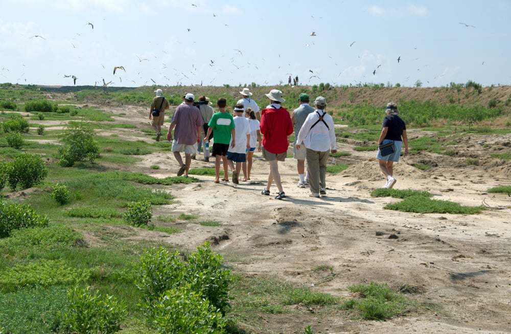 Birdwatcher Excursion